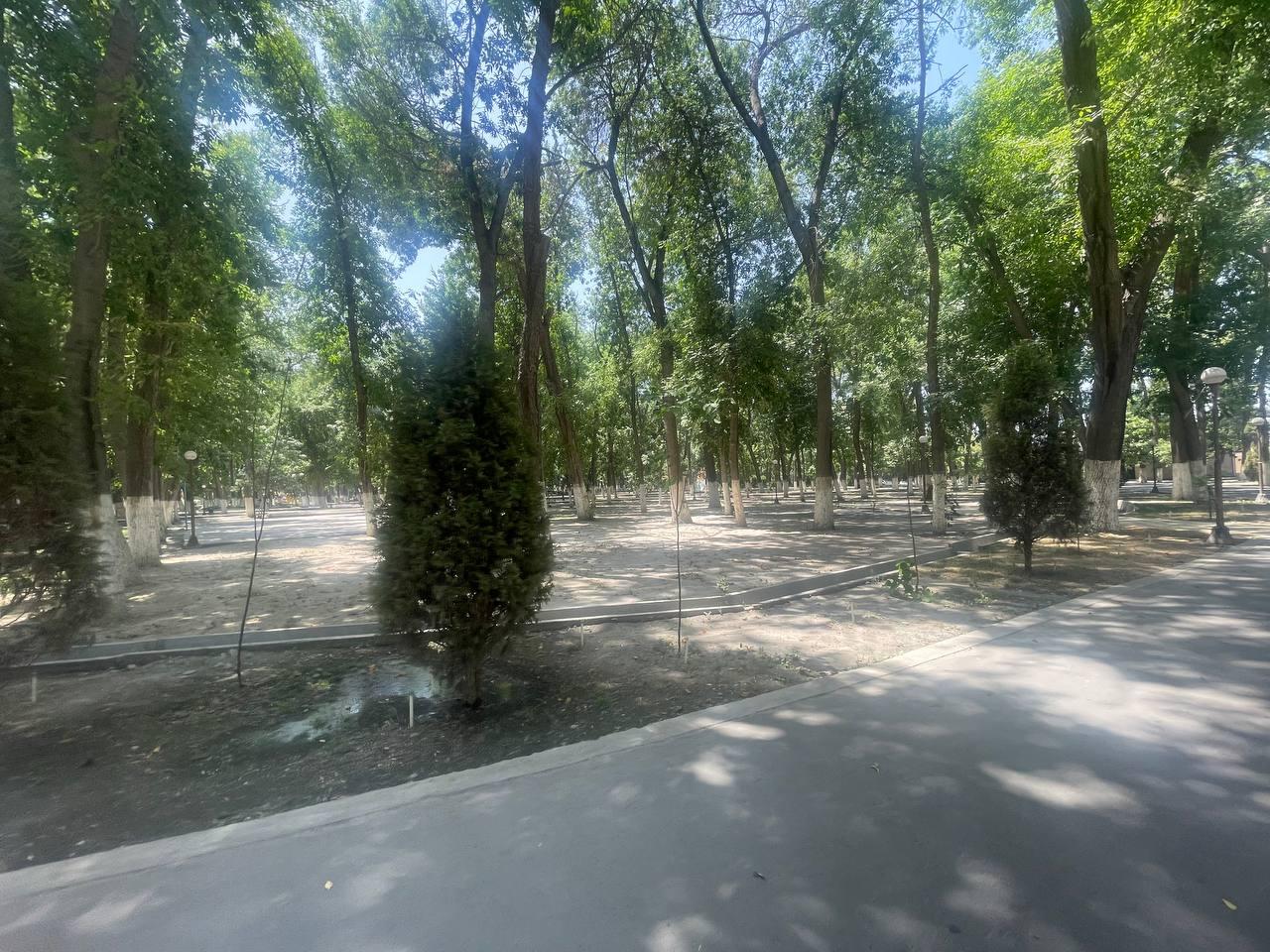 Picture of the author