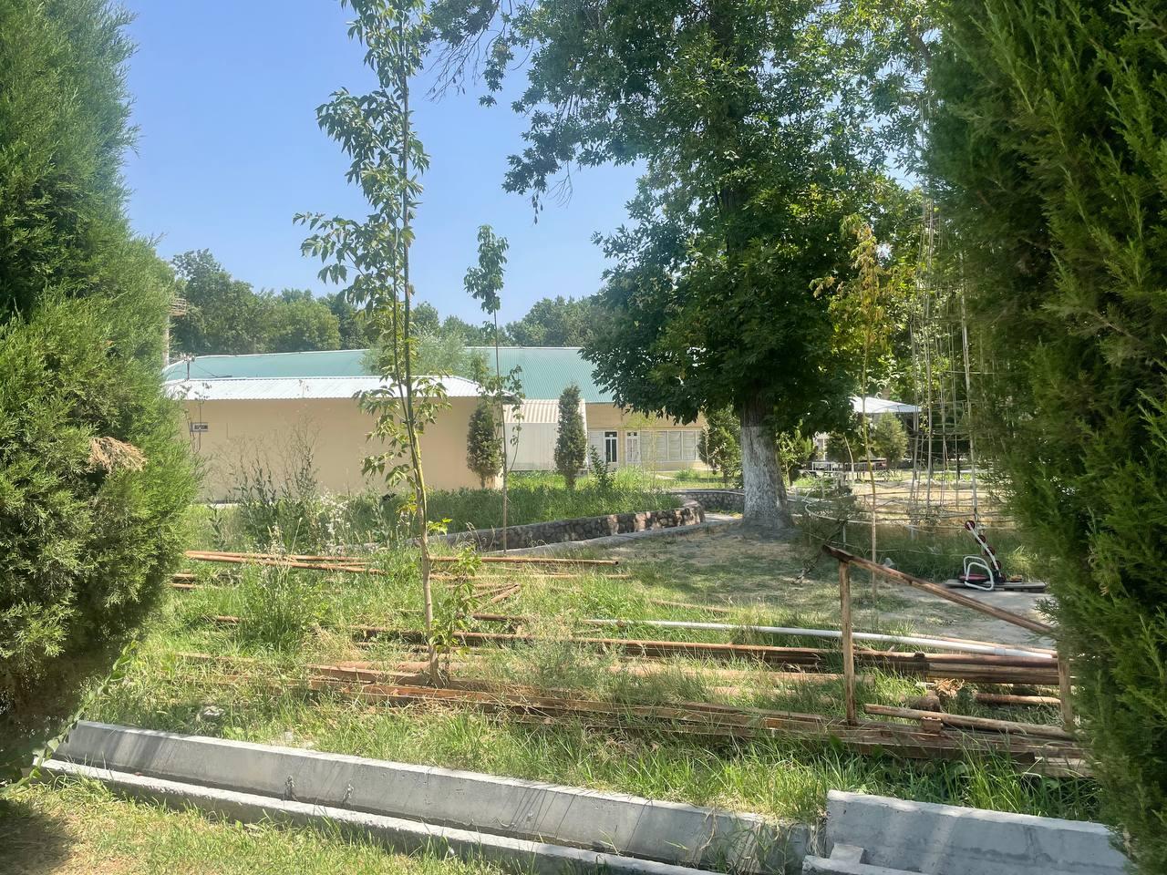 Picture of the author