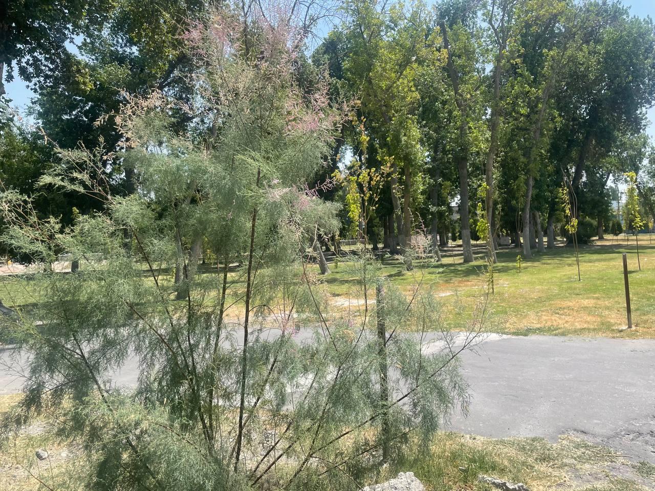 Picture of the author