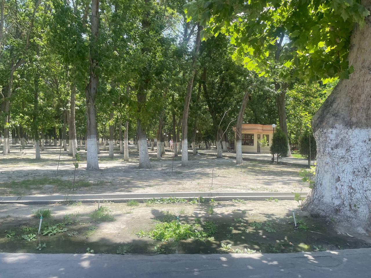 Picture of the author